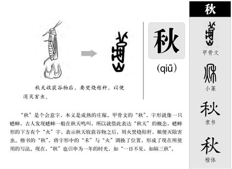 秋五行|秋字的五行属性